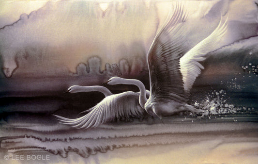 Birds in Flight