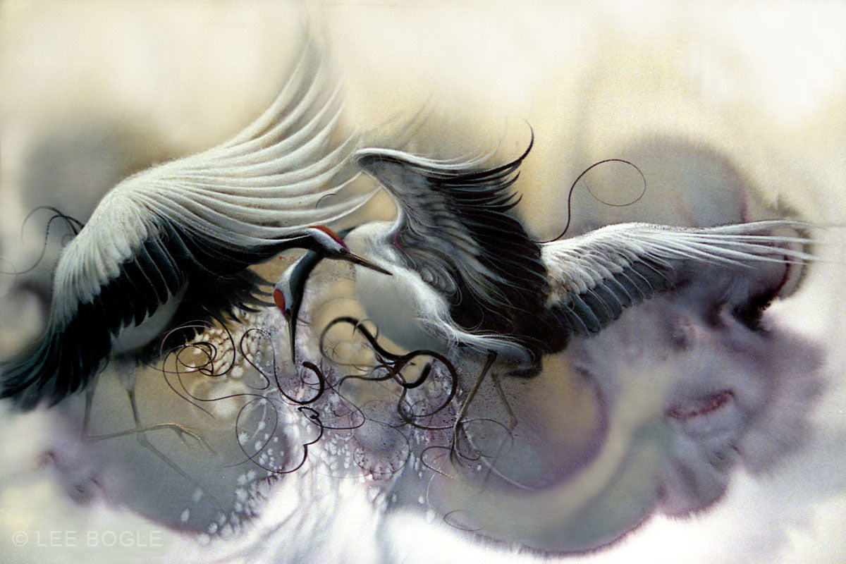 Dancing Cranes