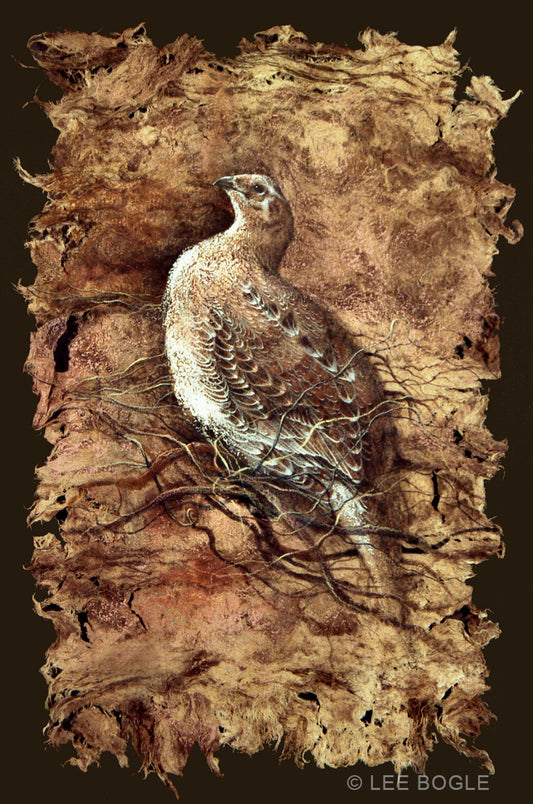Grouse on Bark