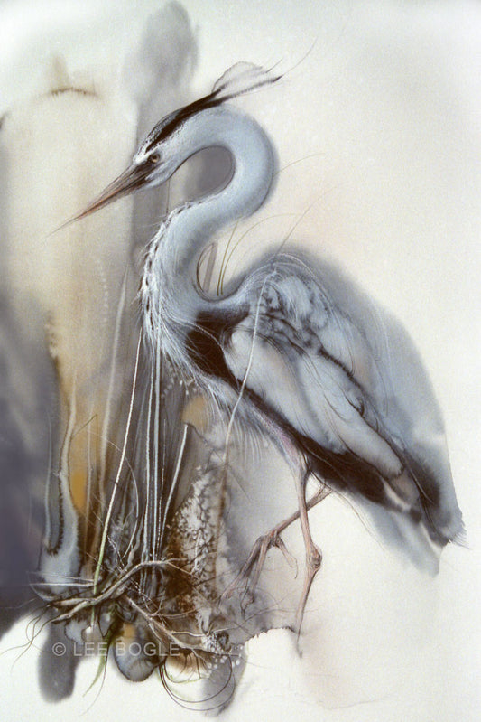 Heron II