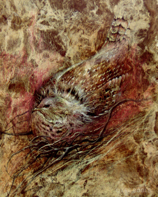 Nesting Grouse