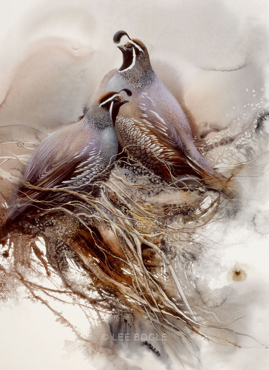 Quail