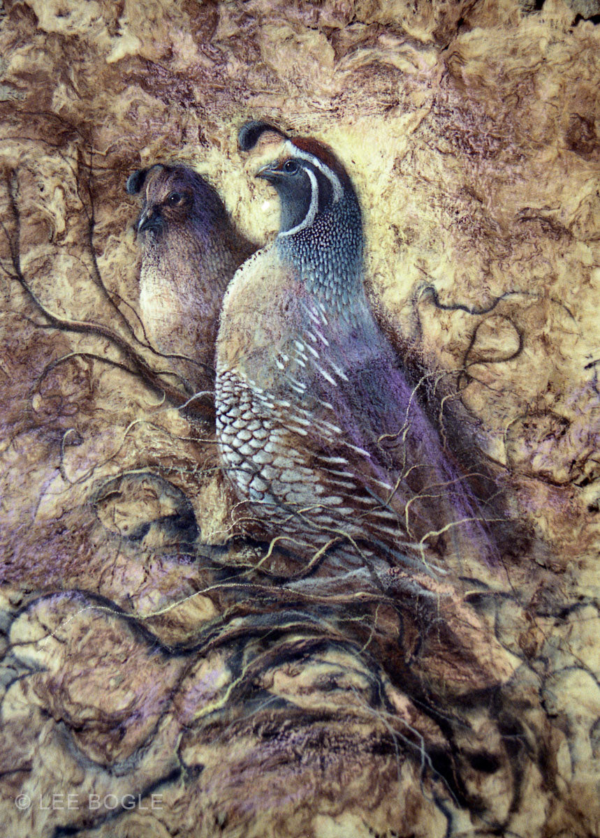 Quail on Bark