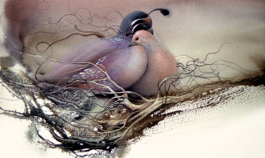 Quails on Nest