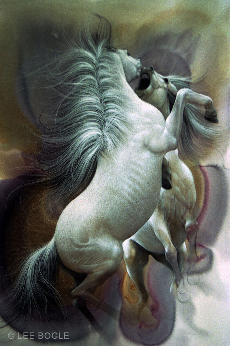 Stallions at Play