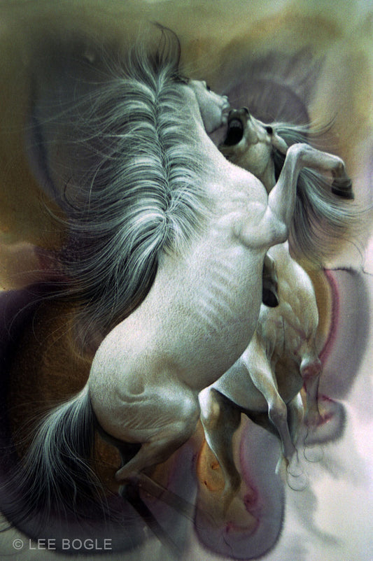 Stallions at Play