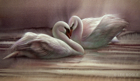 Swans