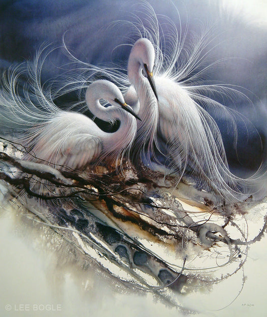 The Courtship