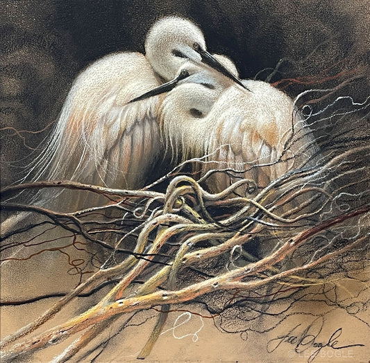 White Egret Study by Lee Bogle