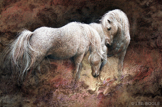 White Stallions