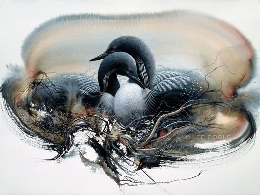 Nesting Loons II